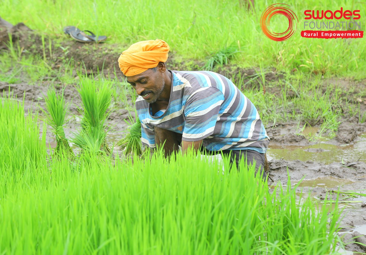 How-we-Live-Watering-Fields-of-Prosperity.png