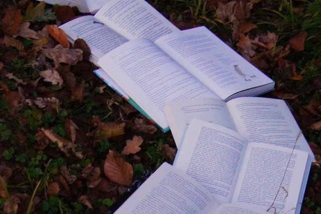 300x200Books.png