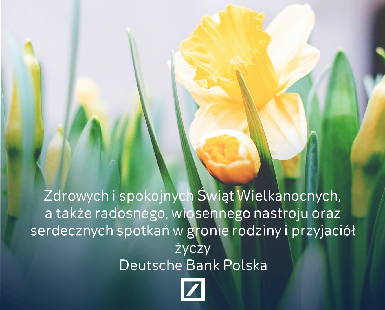 easter24-kartka